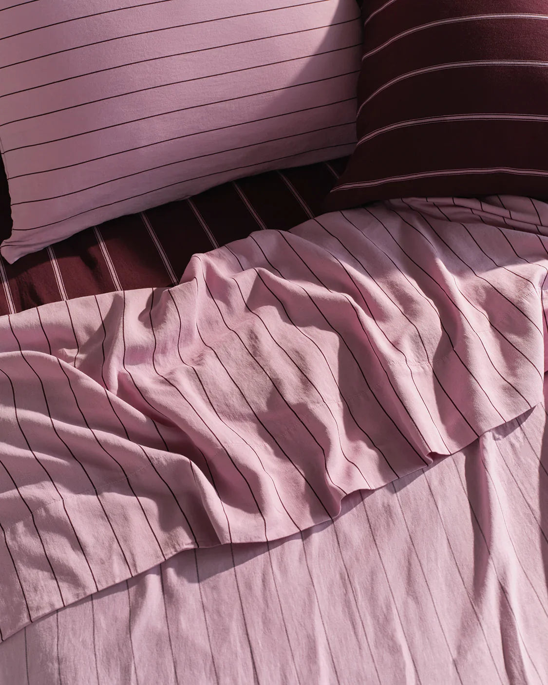 Top Sheet - Aster